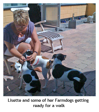 Lisette Larsen with her Danish/Swedish Farmdogs