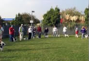 DSFCA Specialty 2007