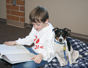 Danish/Swedish Farmdog Frisco participates in the Taile Waggin' Tutor program