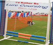 Lure Coursing - Danish/Swedish Farmdogs