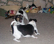 Soonja and Major