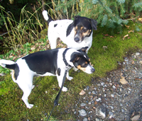 Major and Soonja