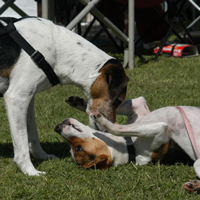 Pierre and Tilly