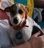 Tilly