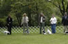 Walk Around 10-0413