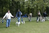 Walk Around 10-0423