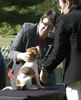 Daisy 10-0431a