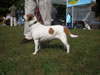 Hilde 10-04BF01